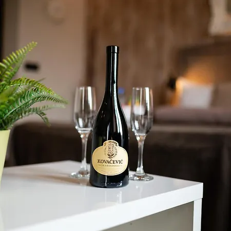 Apartman Central Business Terazije Belgrád